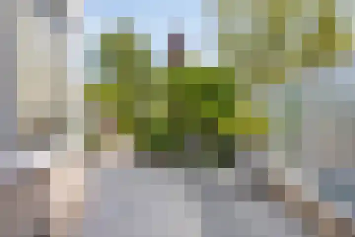 Oostvlietweg 12 B Leidschendam thumbnail 36