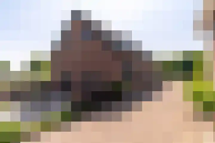 Oostvlietweg 29 Leidschendam thumbnail 8