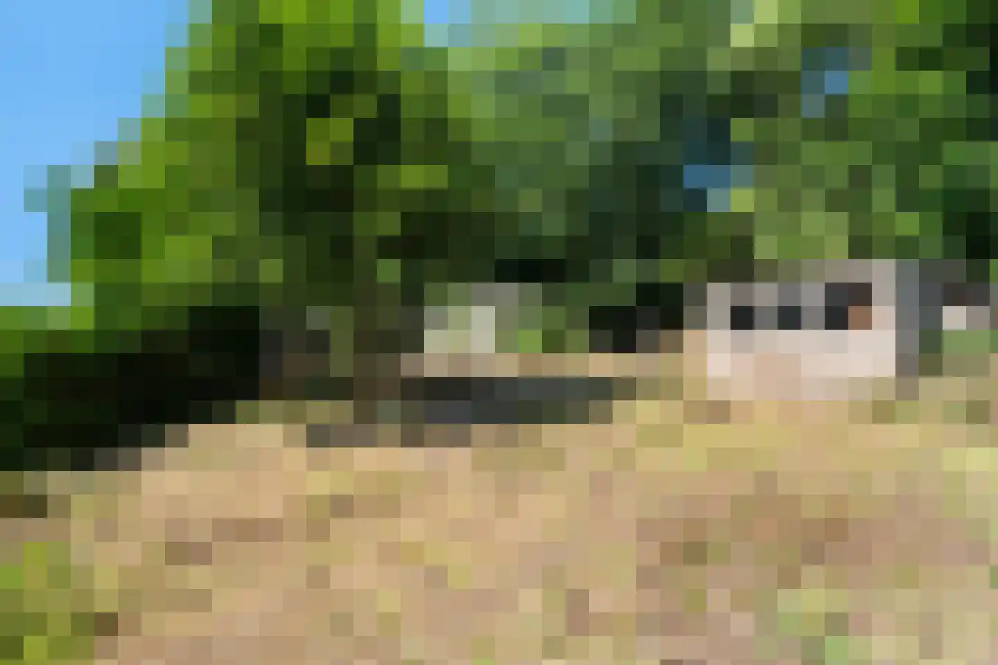 Oostvlietweg 46 Leidschendam thumbnail 24