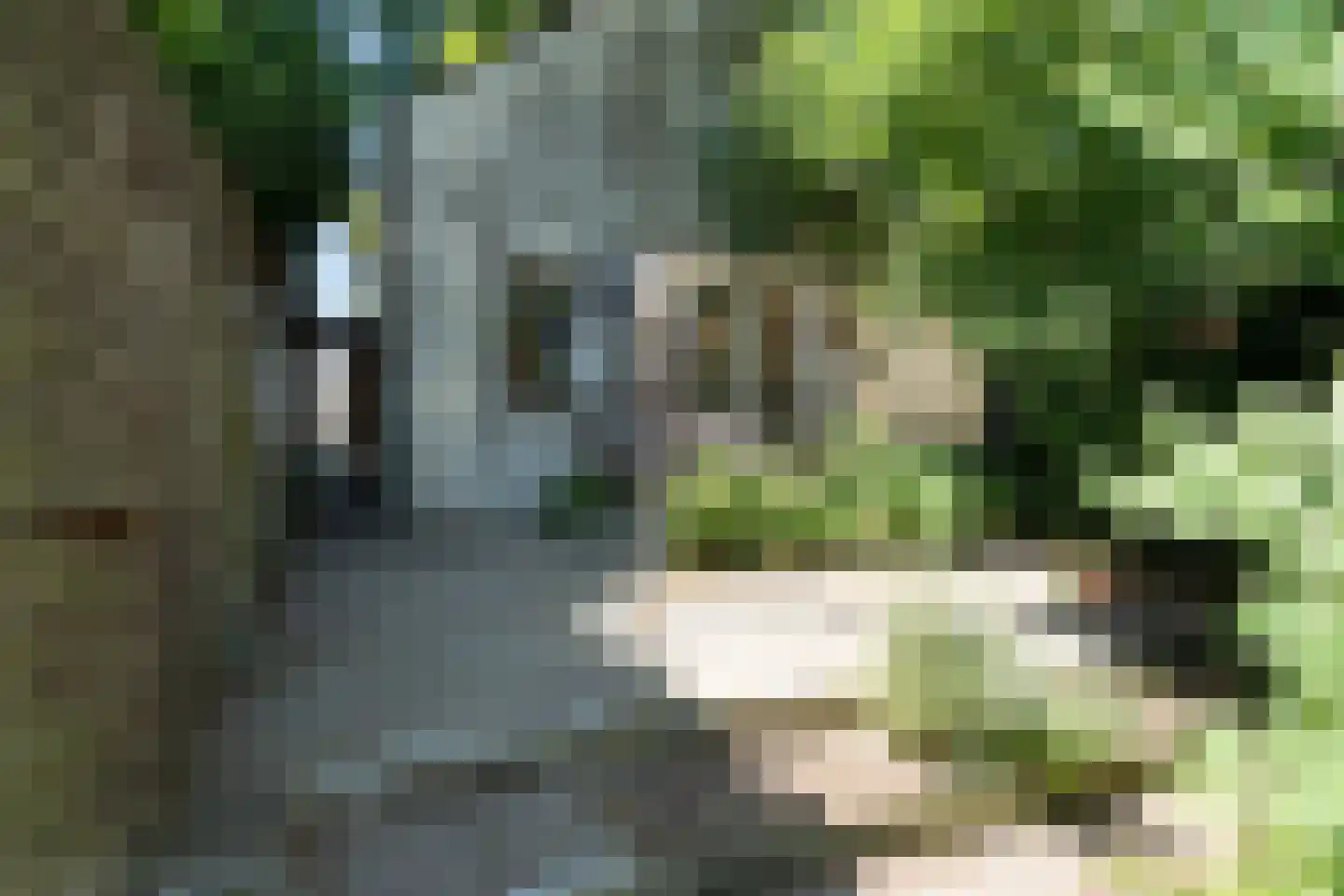 Oostvlietweg 46 Leidschendam thumbnail 27