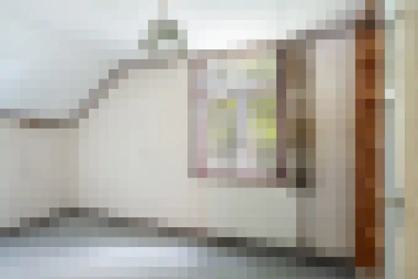 Oostvlietweg 46 Leidschendam thumbnail 30
