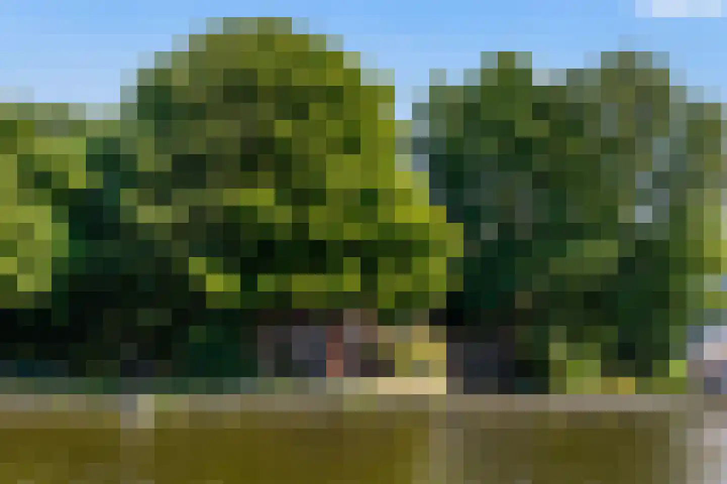 Oostvlietweg 46 Leidschendam thumbnail 36