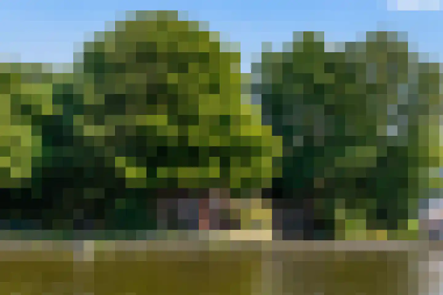Oostvlietweg 46 Leidschendam thumbnail 37