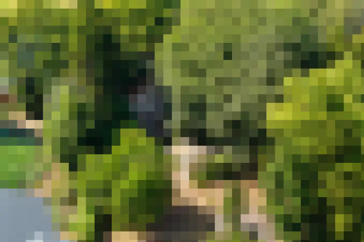 Oostvlietweg 46 Leidschendam thumbnail 41