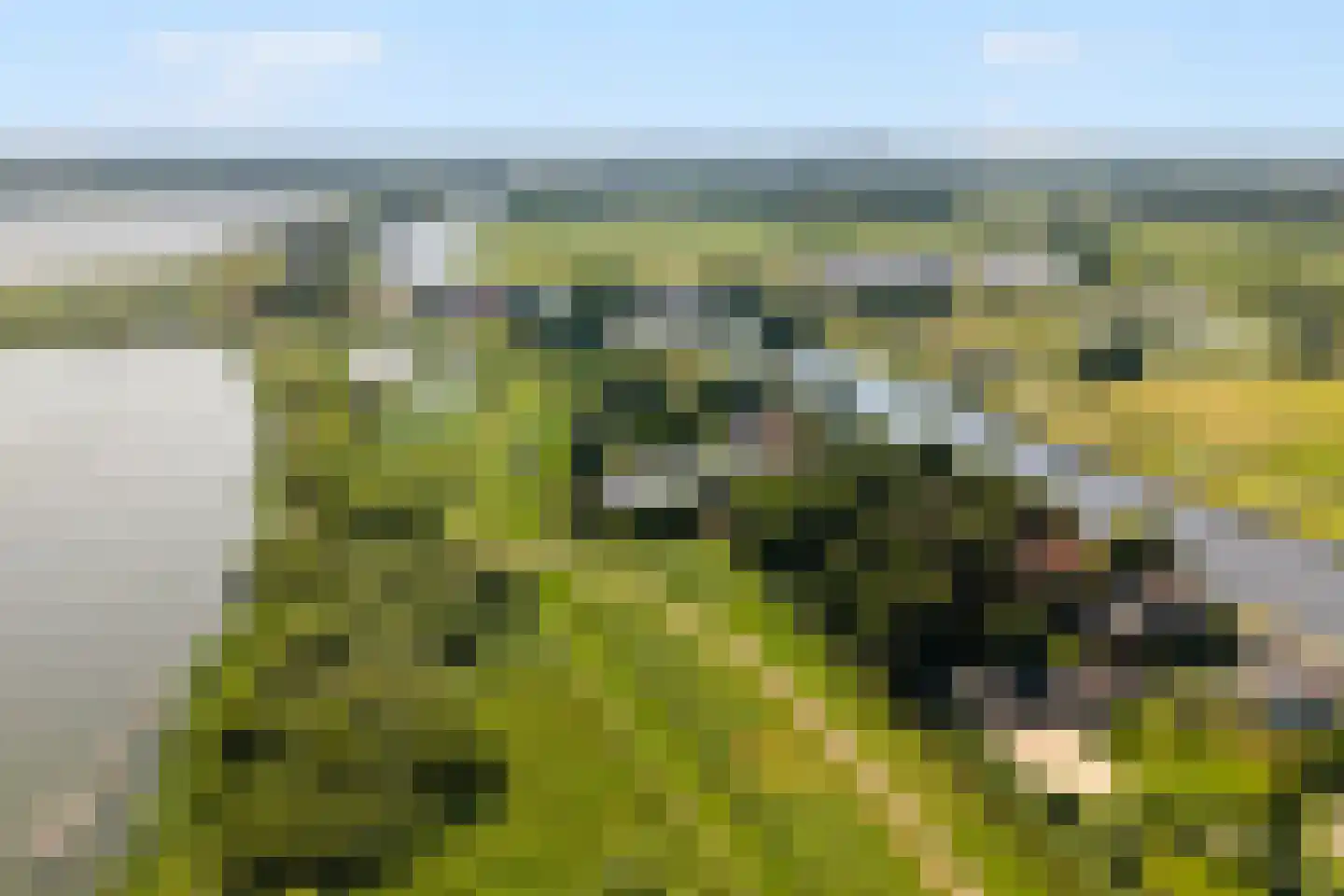 Oostvlietweg 46 Leidschendam thumbnail 42