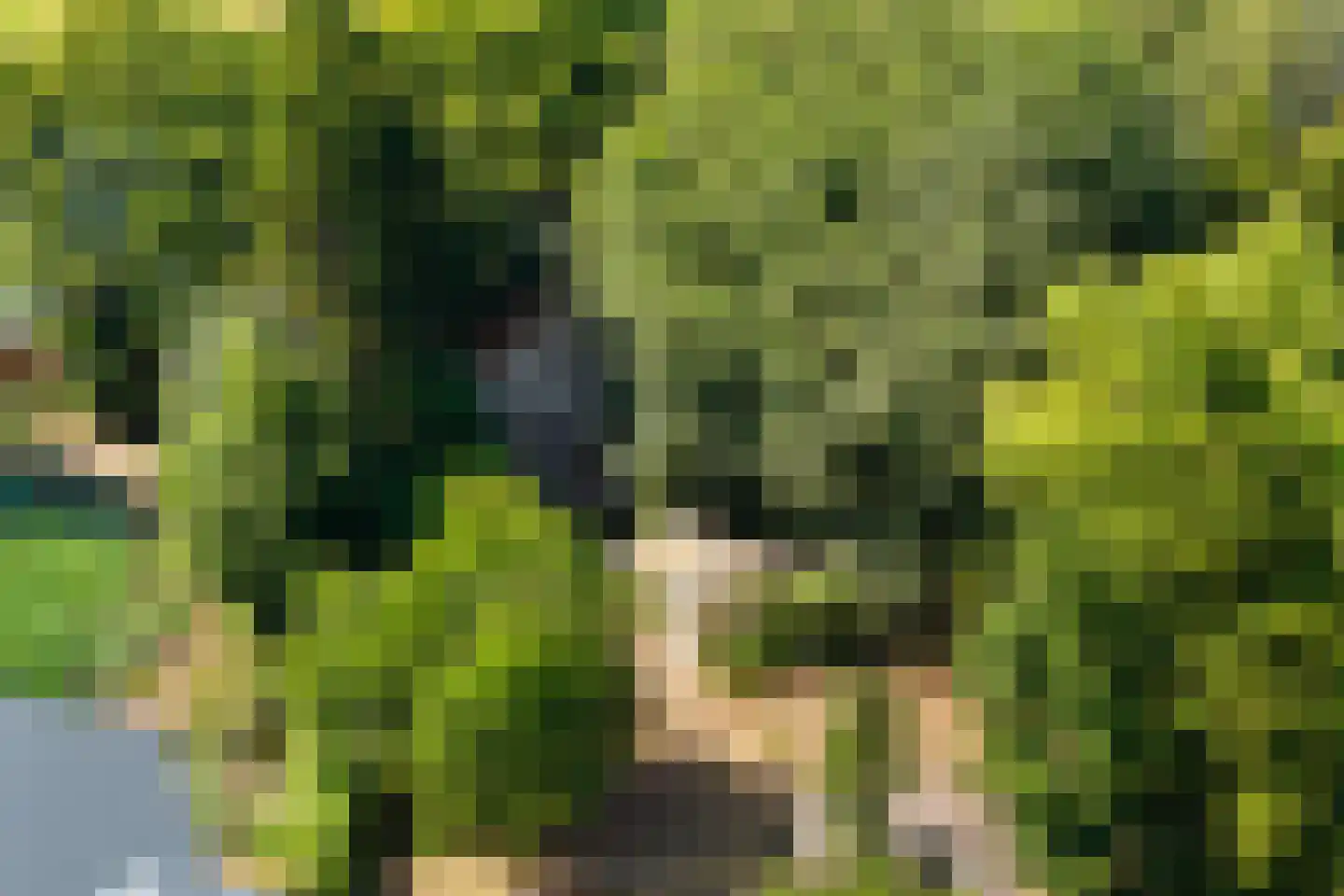 Oostvlietweg 46 Leidschendam thumbnail 42