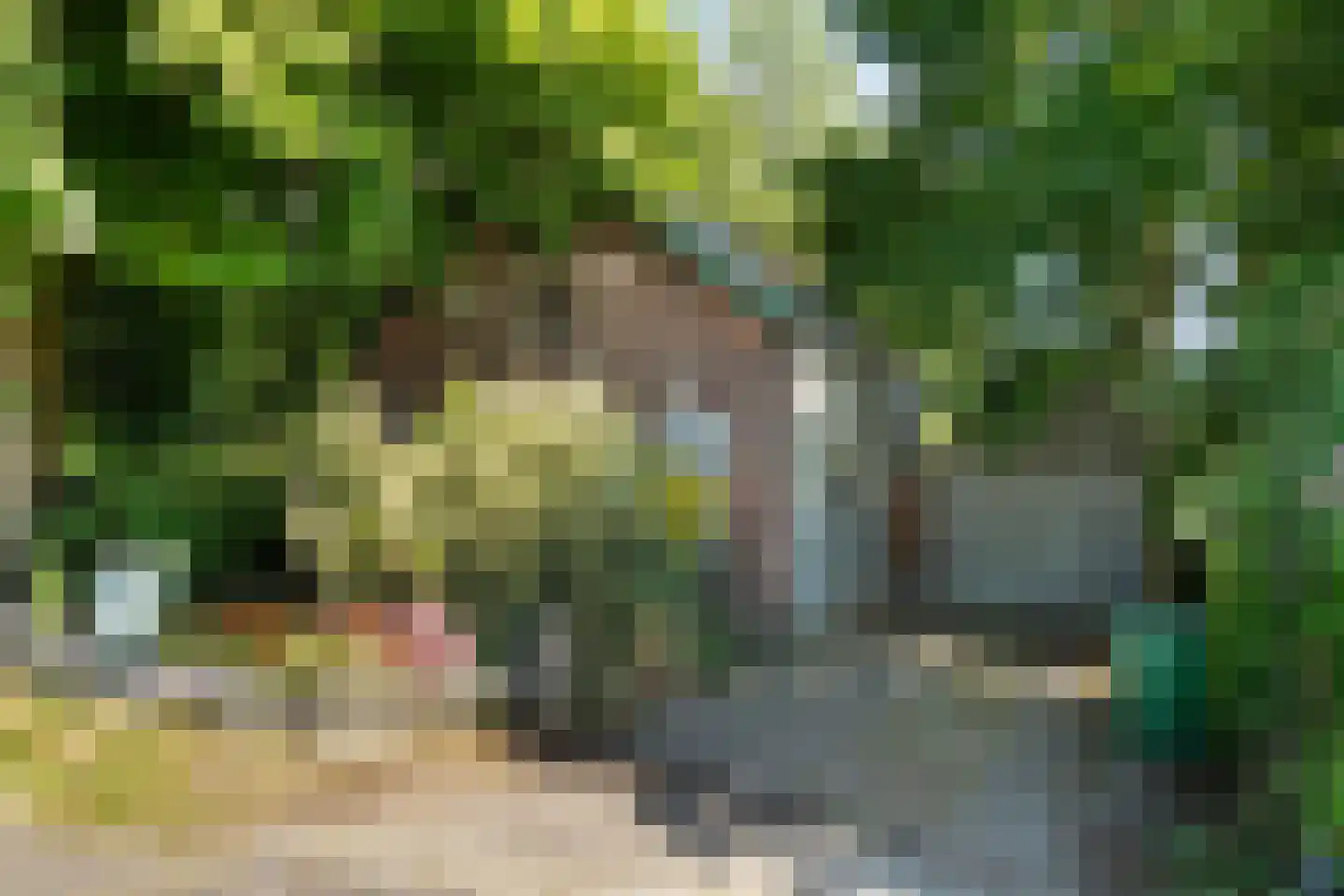 Oostvlietweg 46 Leidschendam thumbnail 6