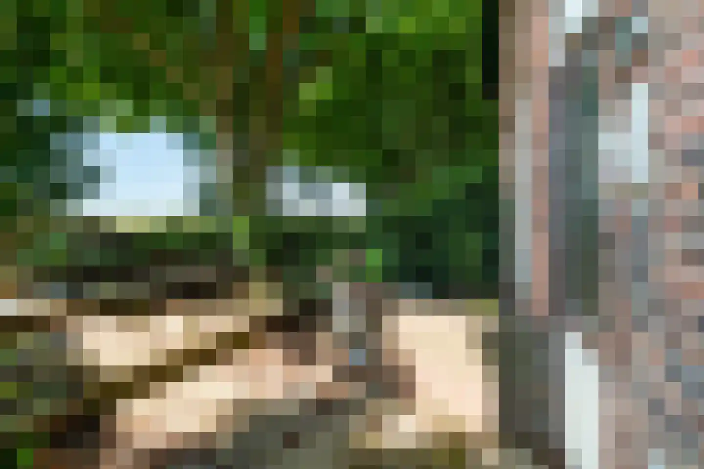 Oostvlietweg 46 Leidschendam thumbnail 7