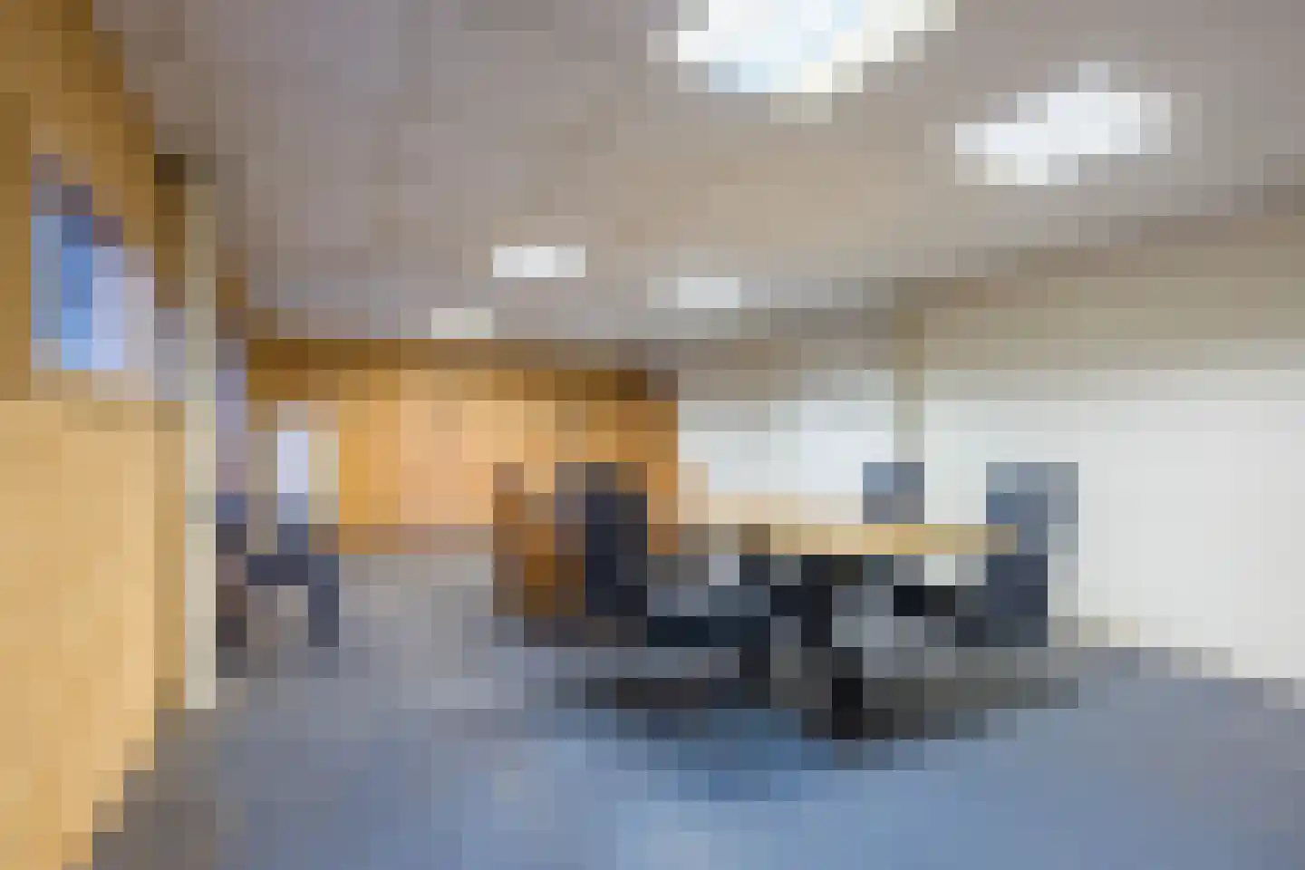 Oostvlietweg 51 A Leidschendam thumbnail 47