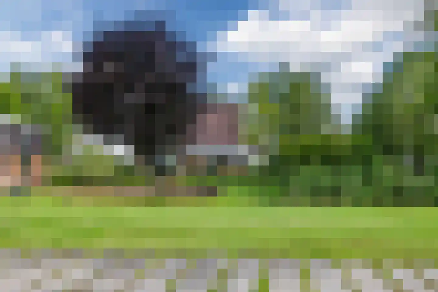 Oostvlietweg 51 A Leidschendam thumbnail 51
