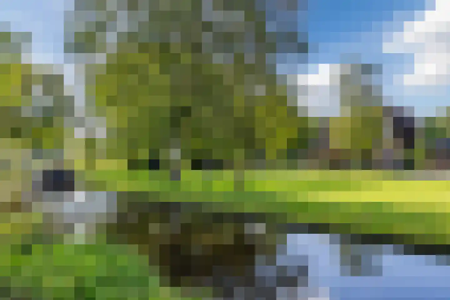 Oostvlietweg 51 A Leidschendam thumbnail 60