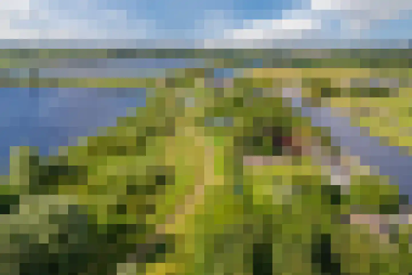 Oostvlietweg 51 A Leidschendam thumbnail 64