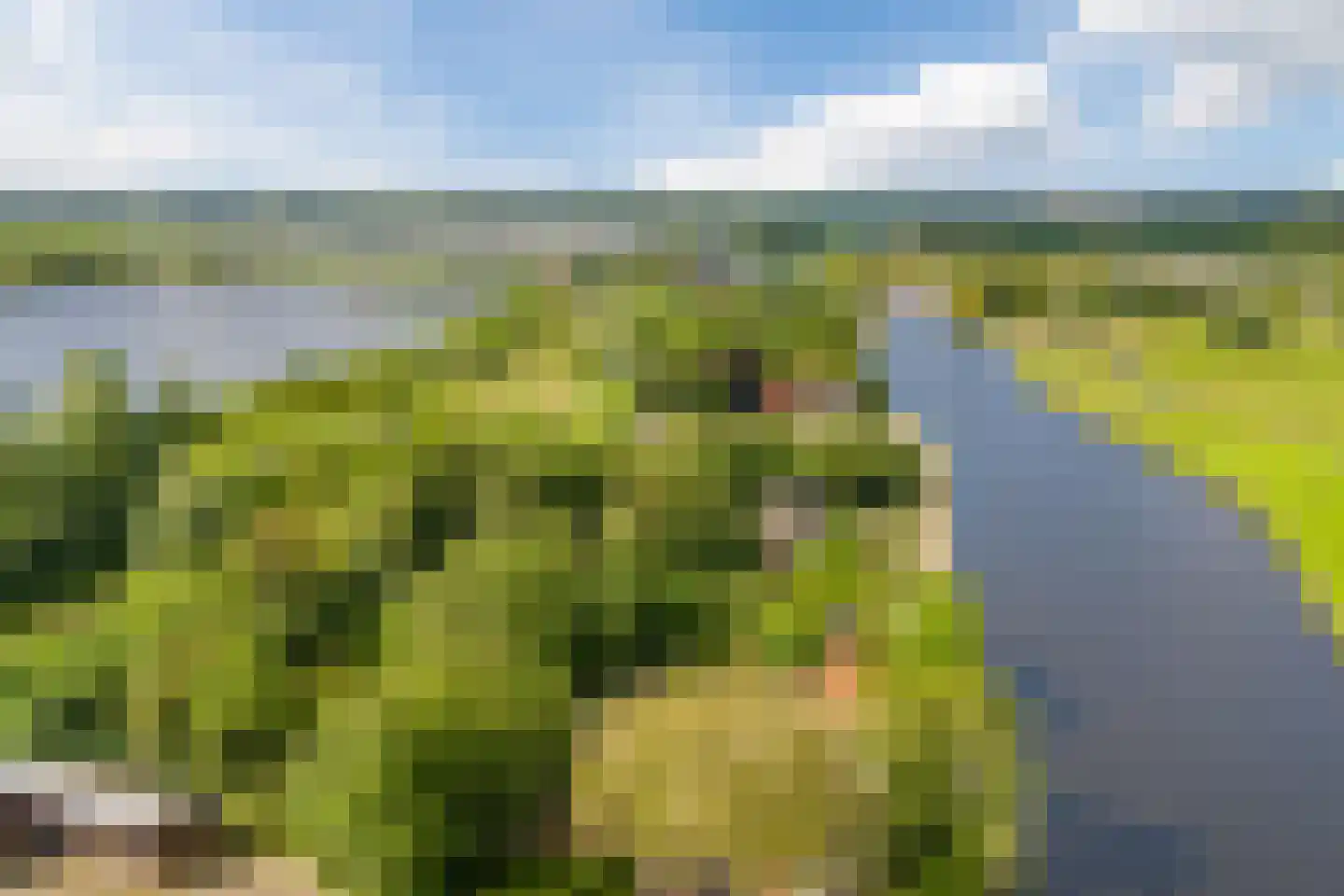 Oostvlietweg 51 A Leidschendam thumbnail 72