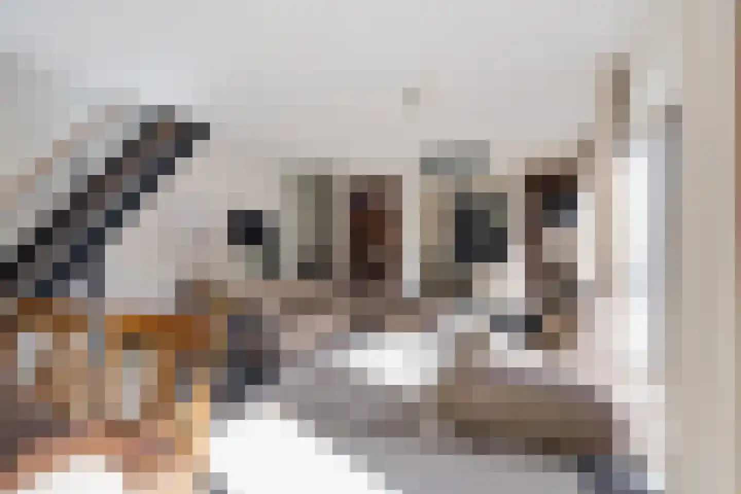 Oostvoornestraat 1 Zoetermeer thumbnail 15