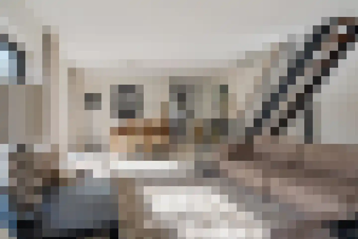 Oostvoornestraat 1 Zoetermeer thumbnail 17