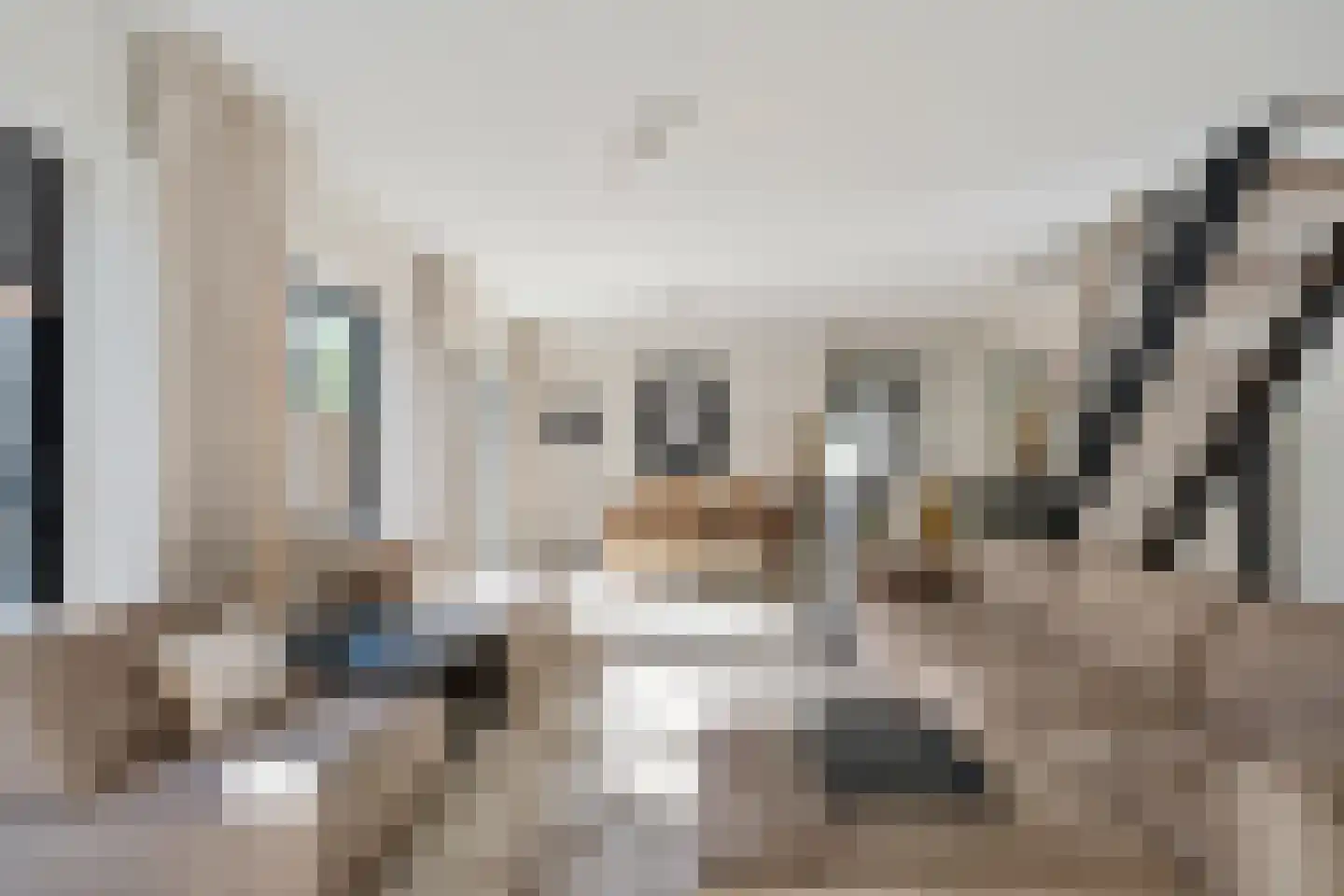 Oostvoornestraat 1 Zoetermeer thumbnail 22