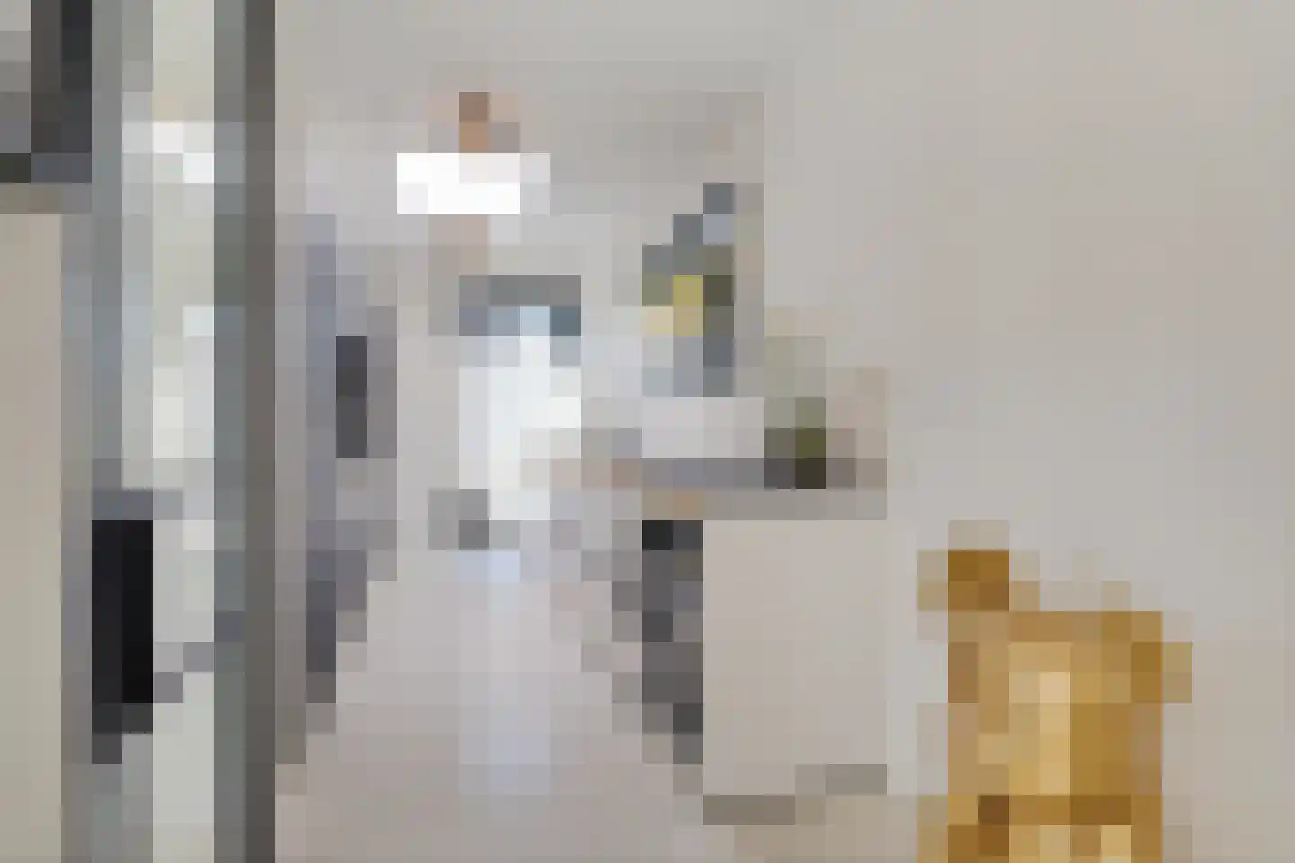 Oostvoornestraat 1 Zoetermeer thumbnail 26