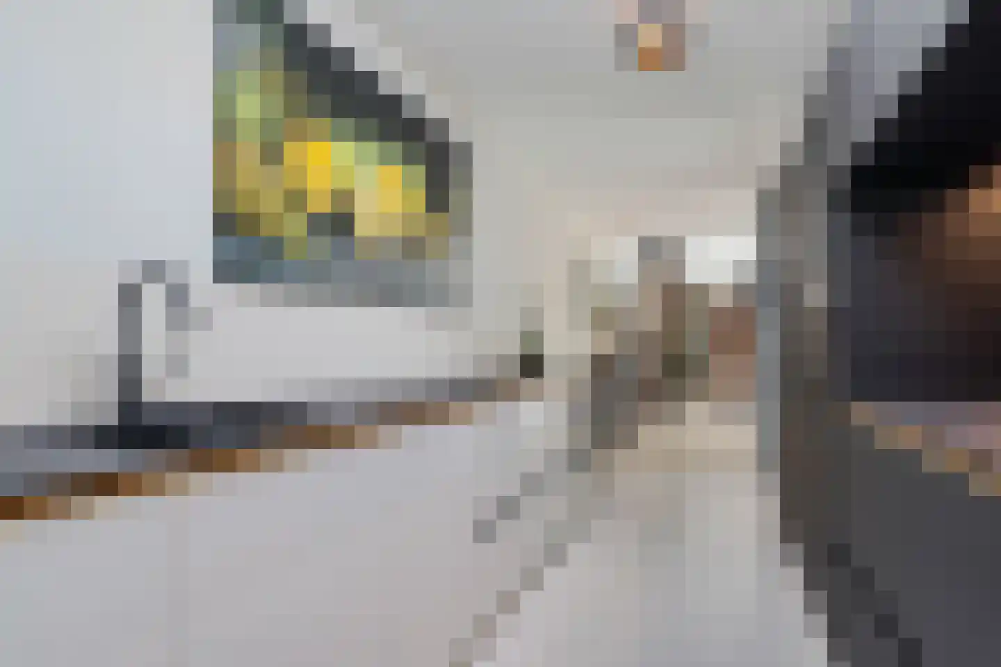 Oostvoornestraat 1 Zoetermeer thumbnail 29