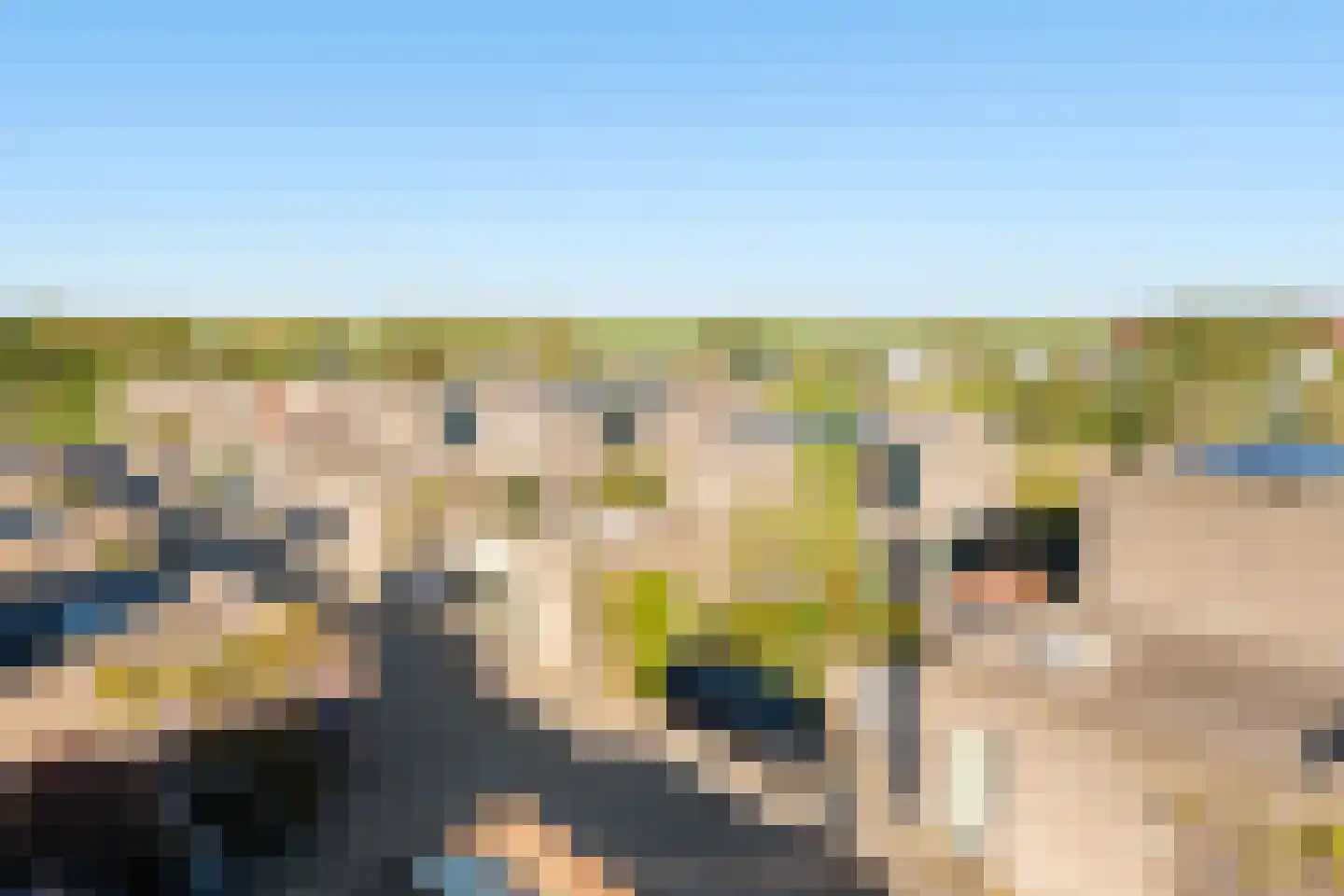 Oostvoornestraat 1 Zoetermeer thumbnail 6