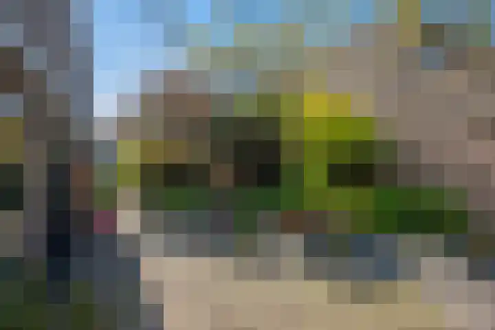 Oostvoornestraat 6 Zoetermeer thumbnail 11