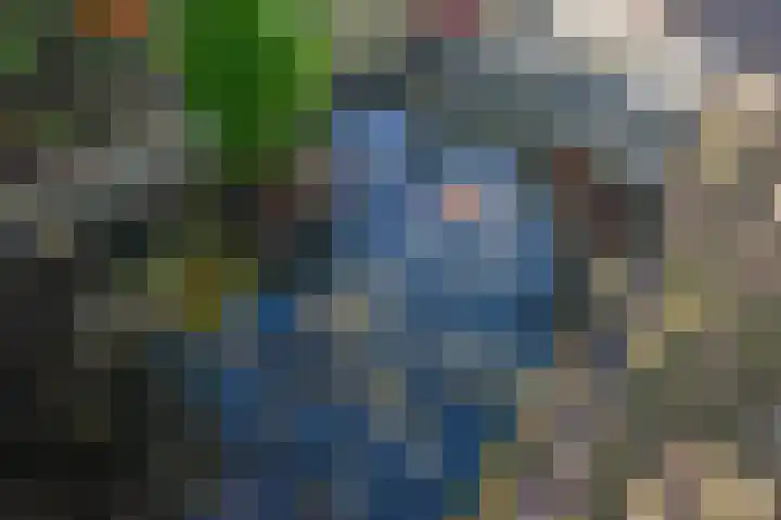Oostvoornestraat 6 Zoetermeer thumbnail 12
