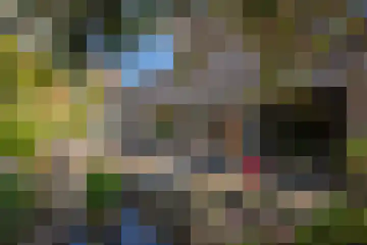 Oostvoornestraat 6 Zoetermeer thumbnail 13