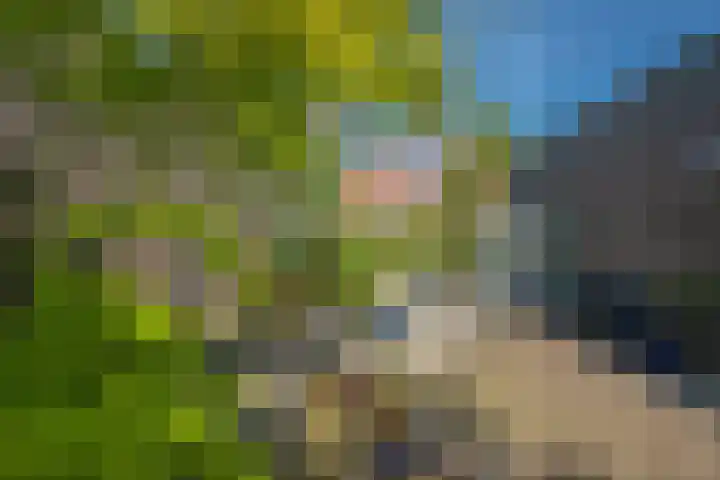 Oostvoornestraat 6 Zoetermeer thumbnail 14