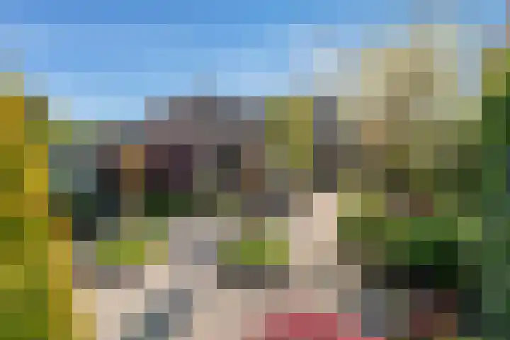 Oostvoornestraat 6 Zoetermeer thumbnail 23