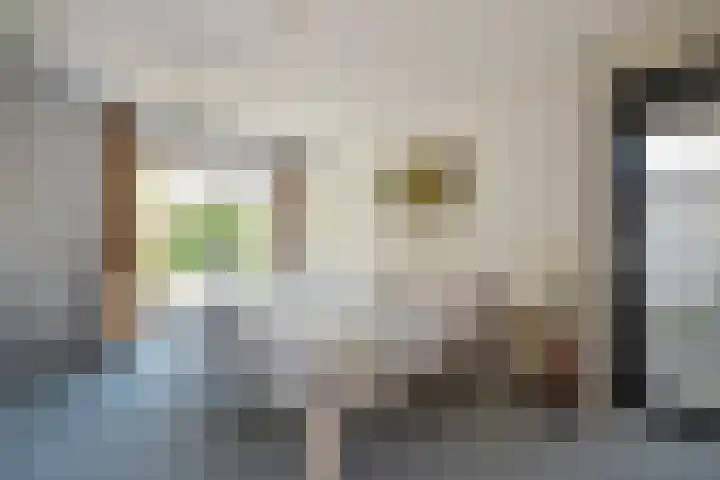 Oostvoornestraat 6 Zoetermeer thumbnail 25