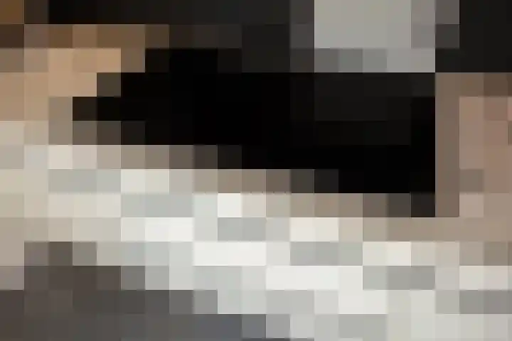 Oostvoornestraat 6 Zoetermeer thumbnail 31