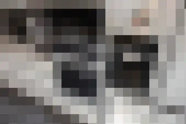 Oostvoornestraat 6 Zoetermeer thumbnail 32