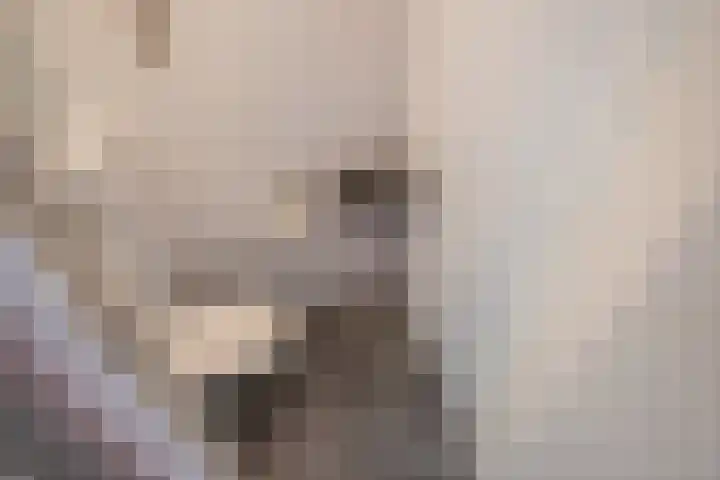 Oostvoornestraat 6 Zoetermeer thumbnail 33
