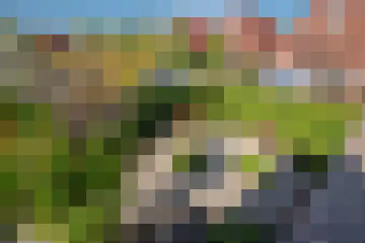 Oostvoornestraat 6 Zoetermeer thumbnail 37
