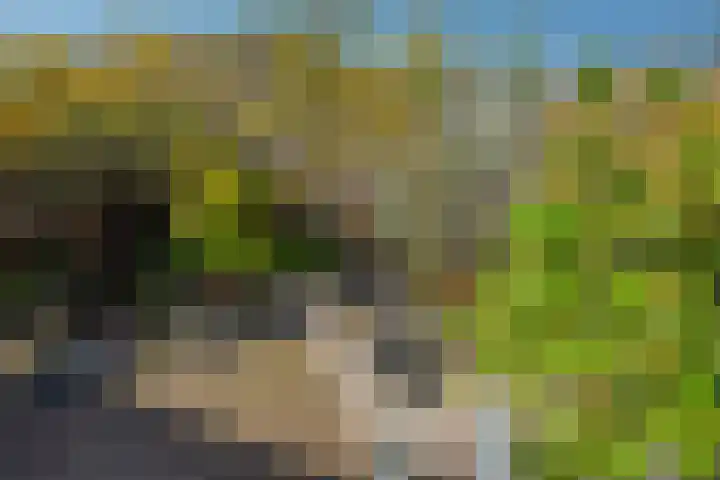 Oostvoornestraat 6 Zoetermeer thumbnail 38