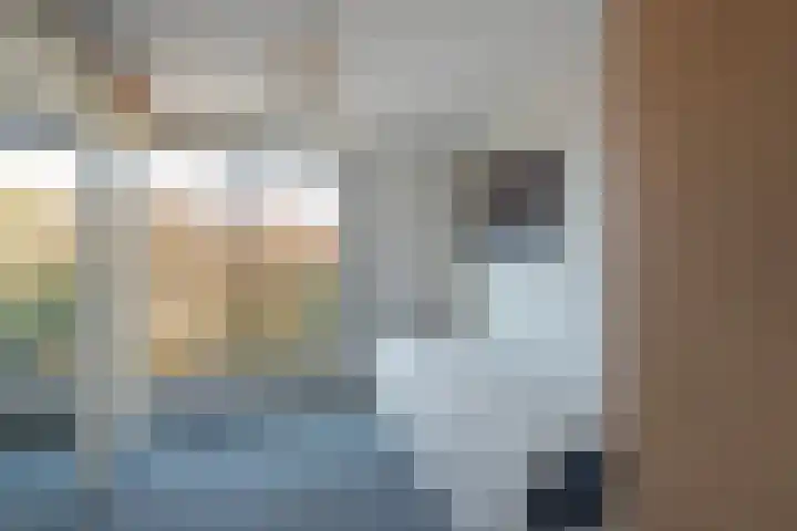 Oostvoornestraat 6 Zoetermeer thumbnail 44