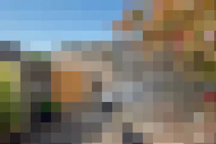 Oostvoornestraat 6 Zoetermeer thumbnail 46