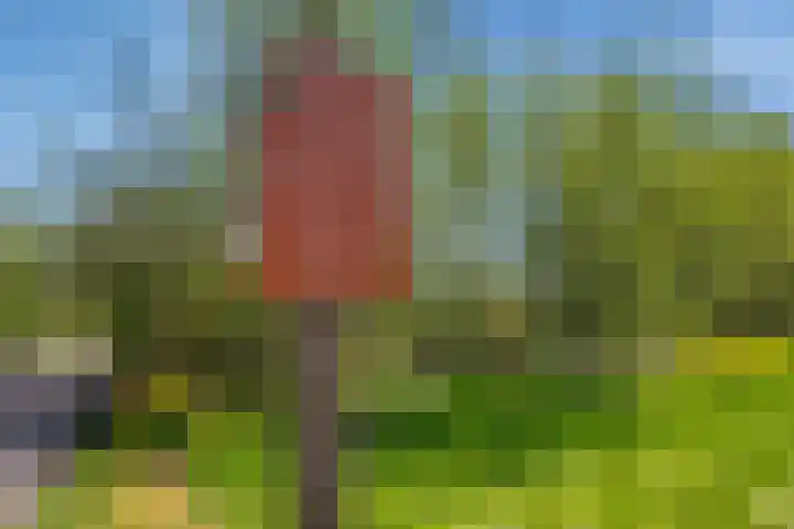 Oostvoornestraat 6 Zoetermeer thumbnail 48