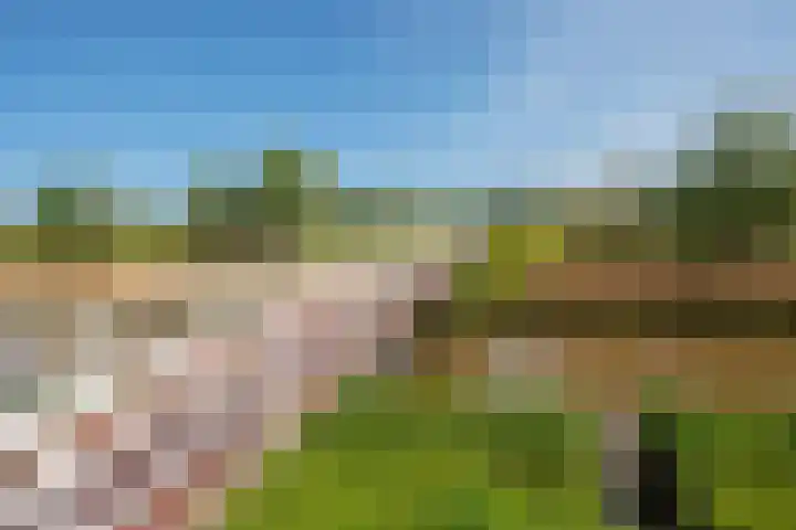 Oostvoornestraat 6 Zoetermeer thumbnail 49