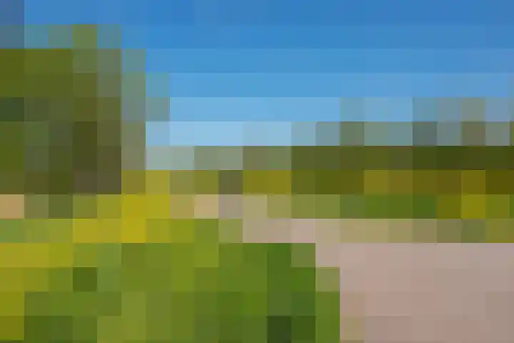 Oostvoornestraat 6 Zoetermeer thumbnail 50