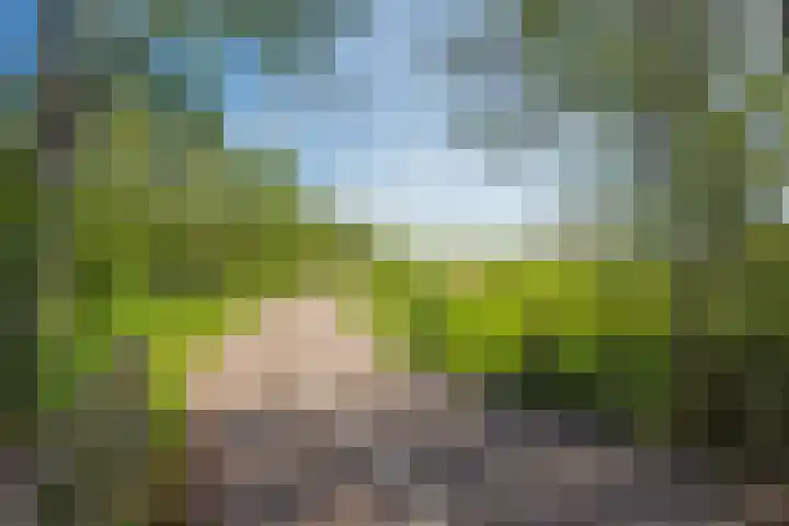 Oostvoornestraat 6 Zoetermeer thumbnail 51