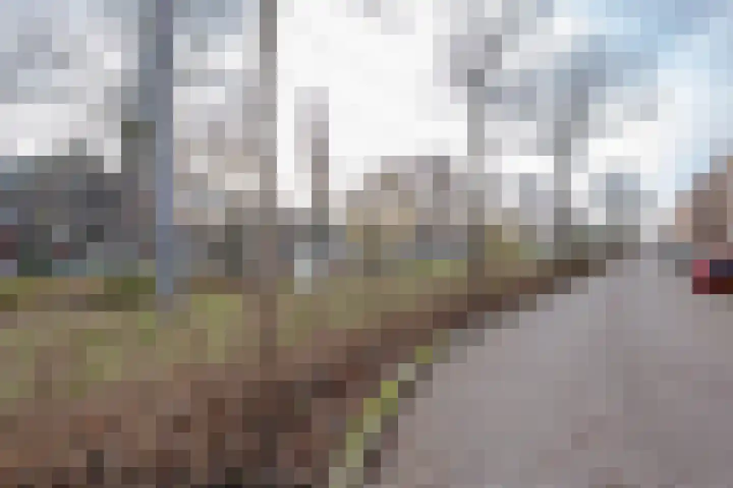 Oostvoornsestraat 15 A Rotterdam thumbnail 39