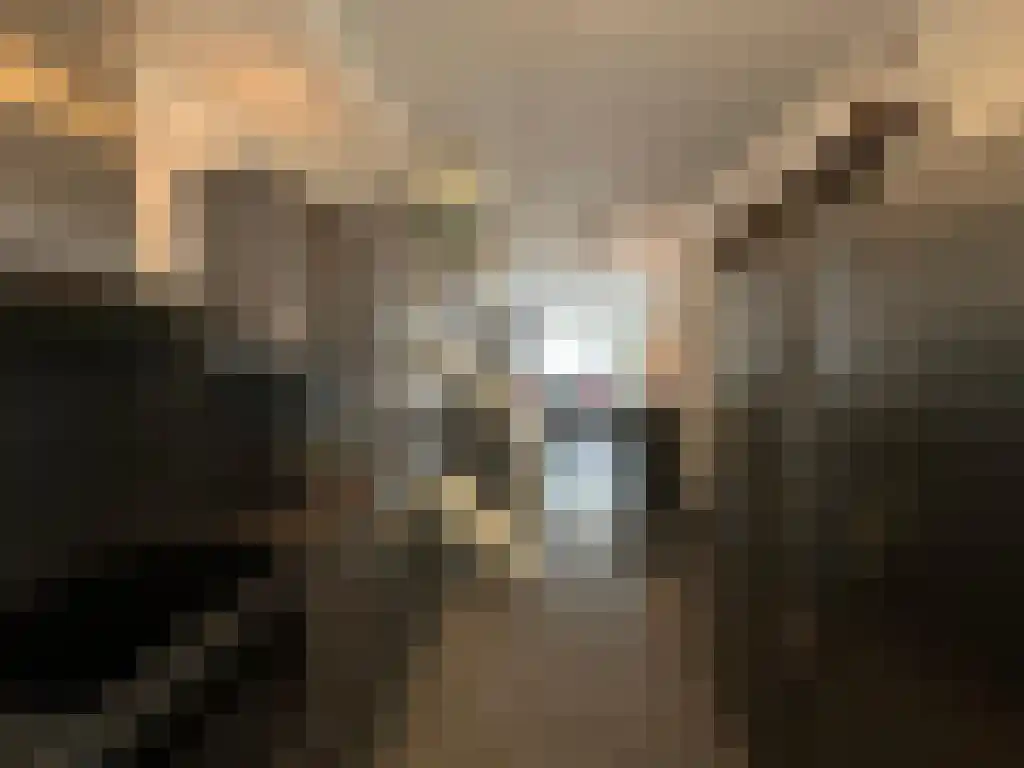 Oostvoornsestraat 24 Rotterdam thumbnail 6