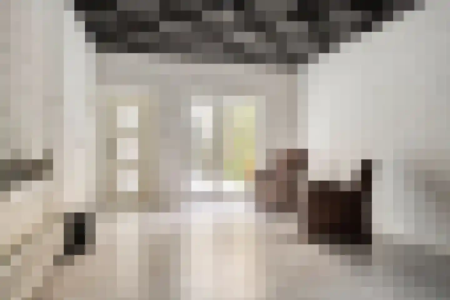 Oostvoorstraat 31 Dinteloord thumbnail 14