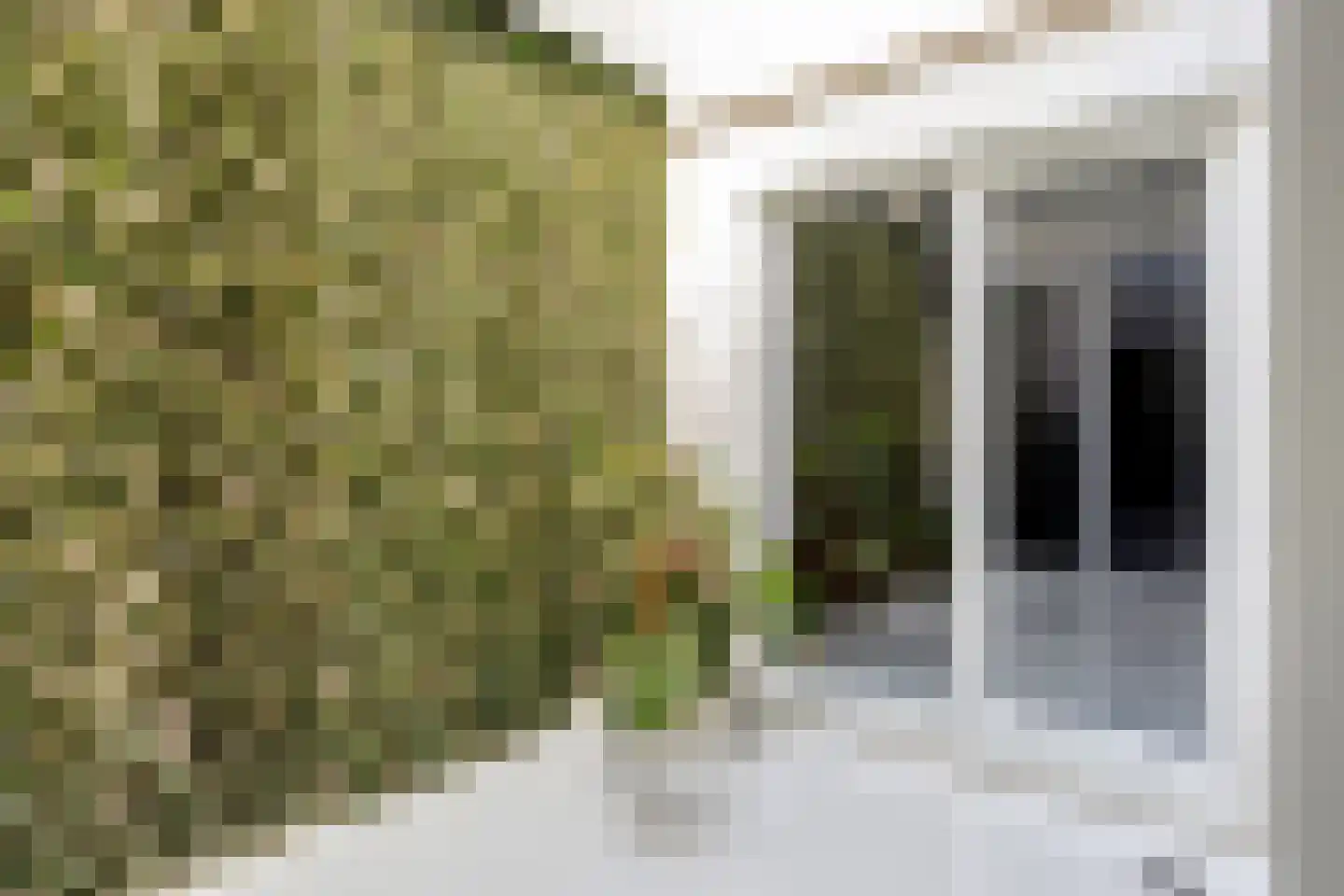 Oostvoorstraat 31 Dinteloord thumbnail 18