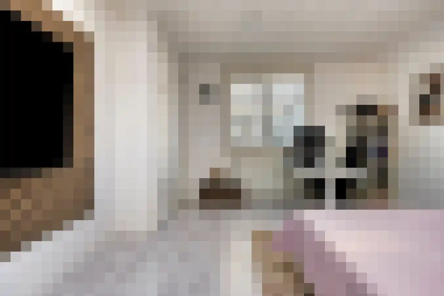 Oostvoorstraat 31 Dinteloord thumbnail 25