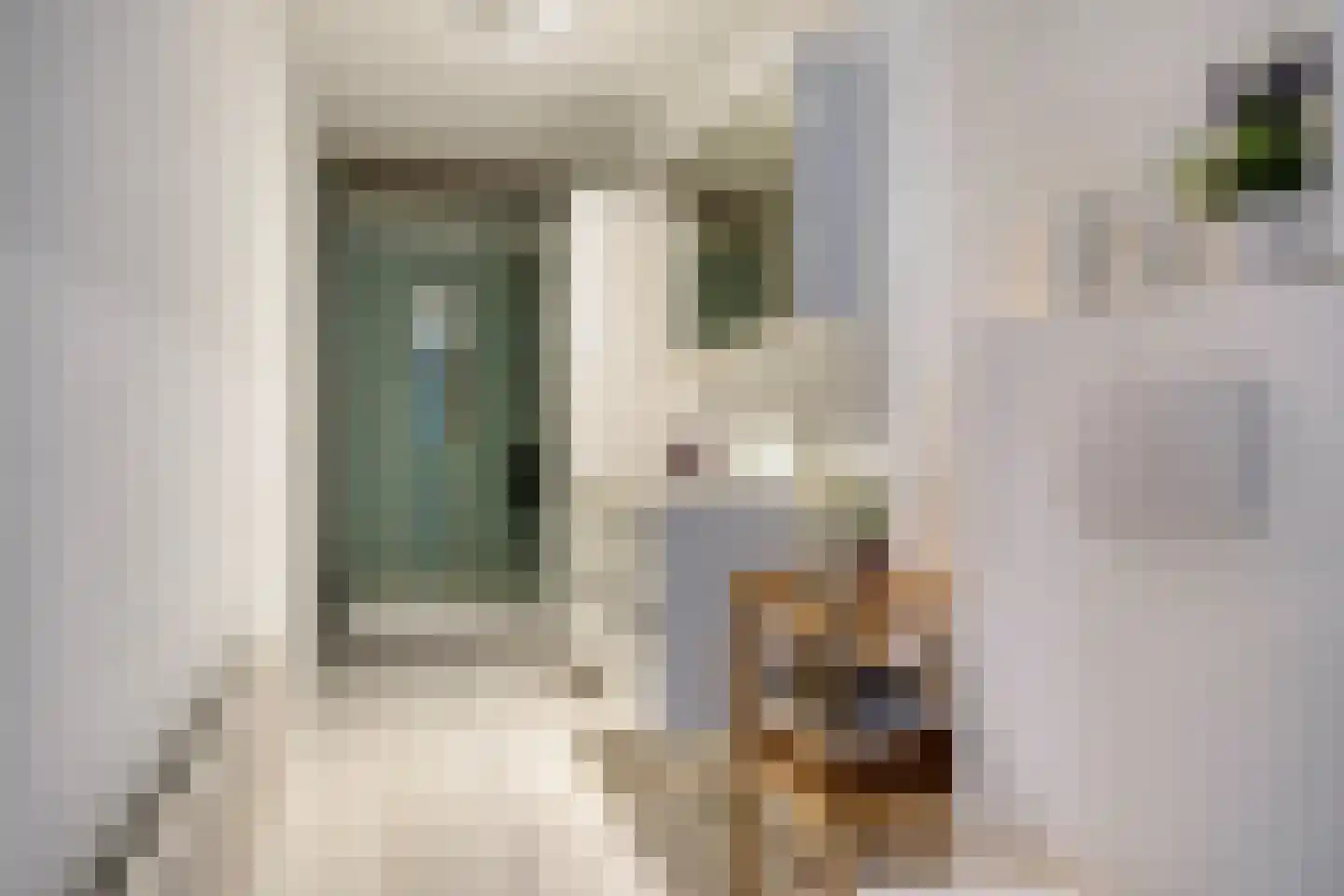 Oostvoorstraat 31 Dinteloord thumbnail 26