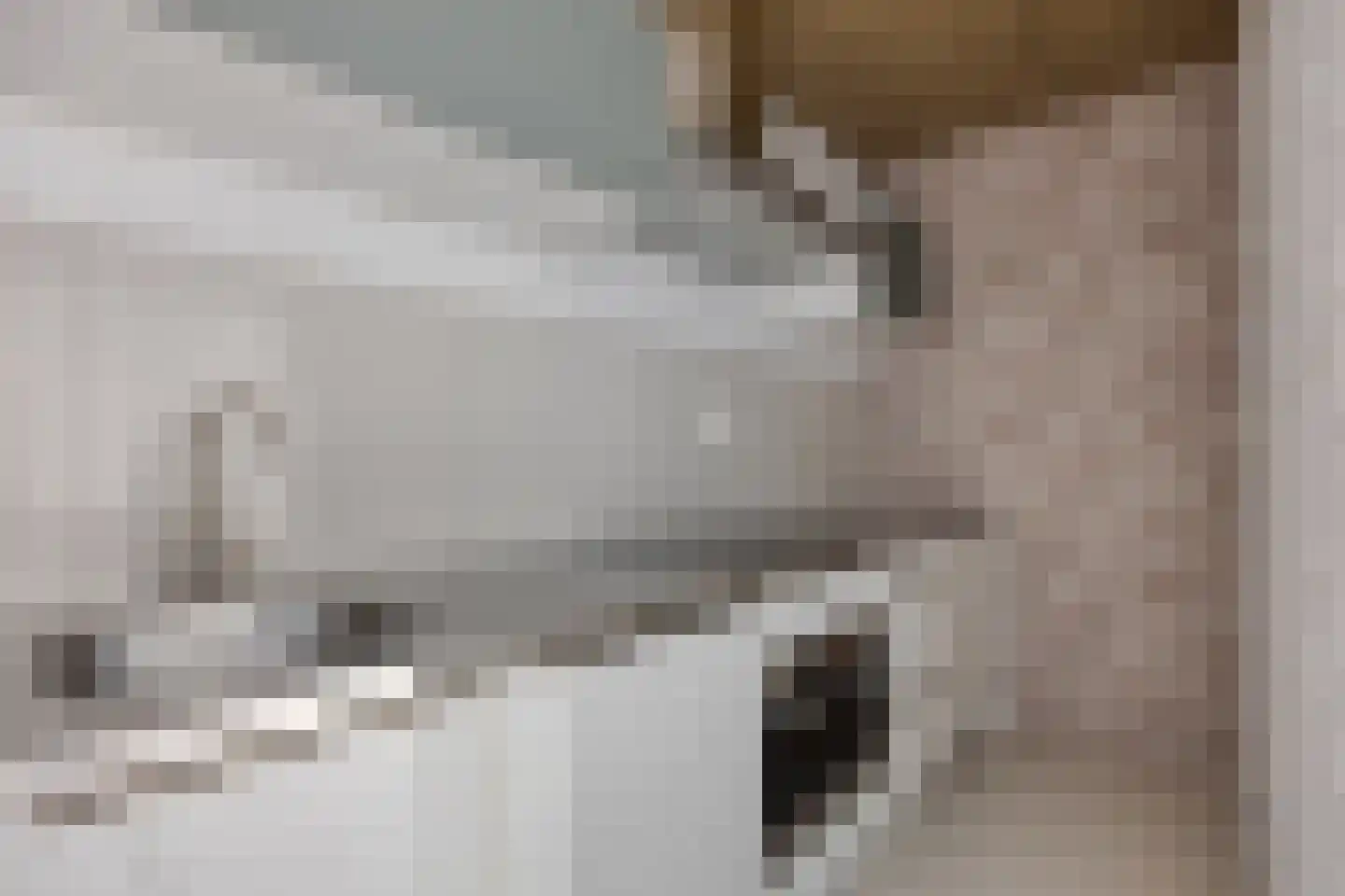 Oostvoorstraat 31 Dinteloord thumbnail 9