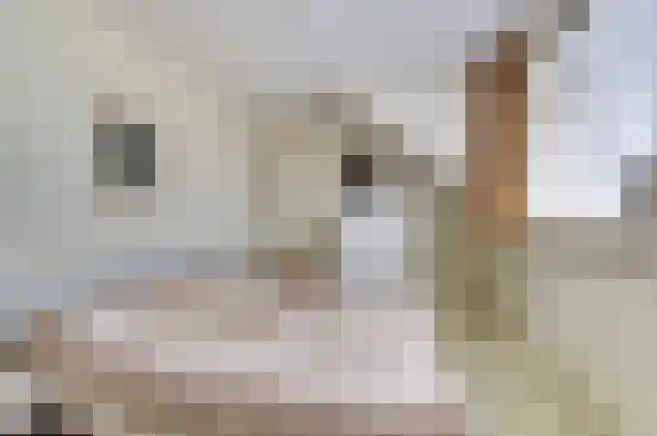 Oostvoorstraat 7 Wissenkerke thumbnail 18