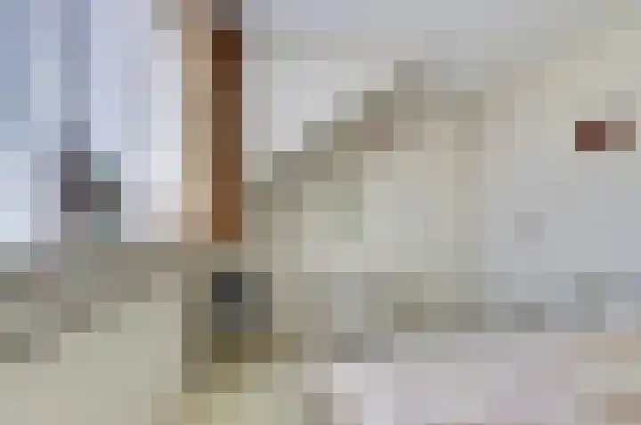 Oostvoorstraat 7 Wissenkerke thumbnail 19