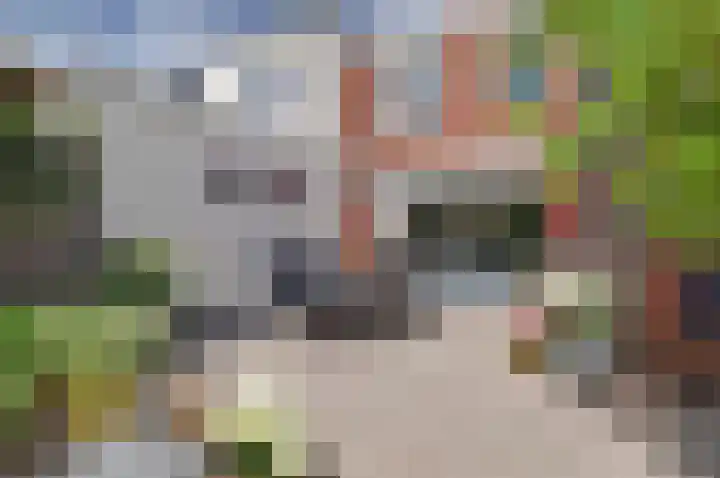 Oostvoorstraat 7 Wissenkerke thumbnail 24